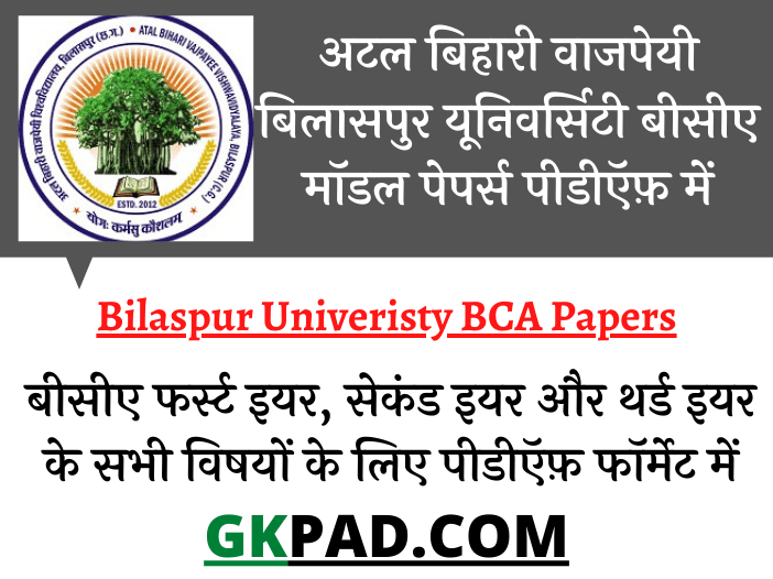 ABVV BCA First Year Model Paper 2022 PDF