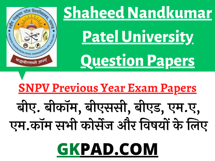 SNPV Raigarh Question Papers